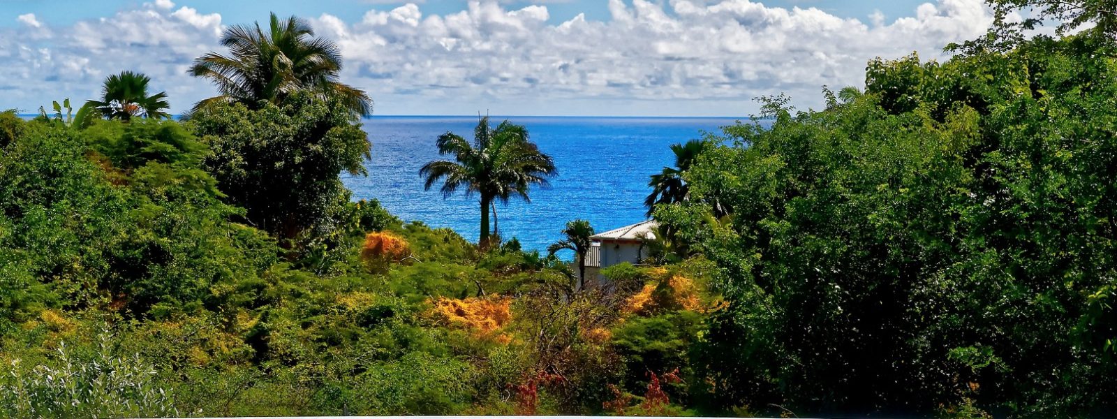 Vente villa Guadeloupe, vente Villa de luxe en Guadeloupe Villa