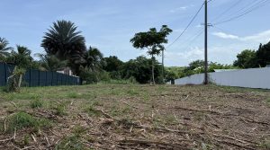 Terrain 1000m2 – Saint-François