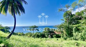 TERRAIN VUE MER – PERMIS ACCORDE – MALENDURE BOUILLANTE TERRAIN VUE MER – PERMIS ACCORDE – MALENDURE BOUILLANTE