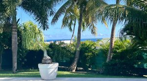 Villa avec vue mer et gîtes à Saint-François Villa avec vue mer et gîtes à Saint-François