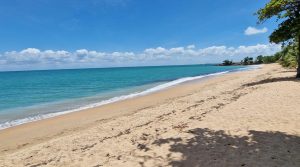 TERRAIN AVEC PERMIS – OPPORTUNITE – SAINTE ROSE